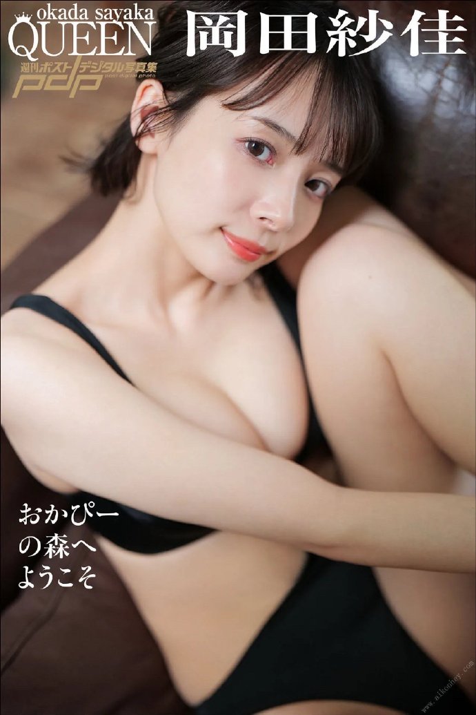 龙猫